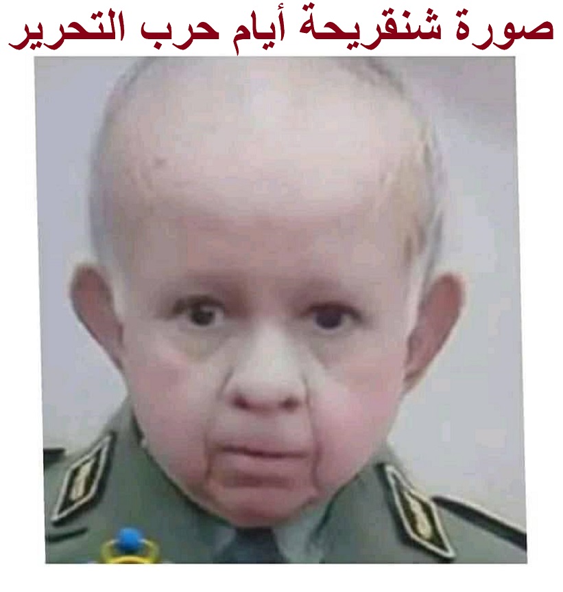 الفريق شنقريحة ينوه بأهمية القوات البحرية في حسم الصراعات الحديثة